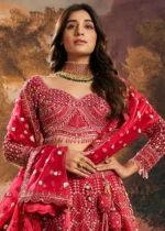 Ready to Wear Raspberry Red Embroidered Net Lehenga