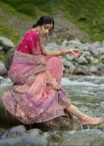 Salmon Pink Embroidered Organza Saree