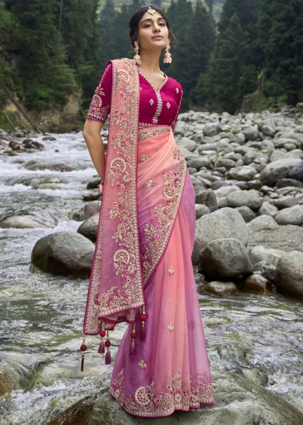 Salmon Pink Embroidered Organza Saree