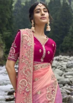 Salmon Pink Embroidered Organza Saree