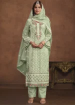 Light Green Embroidered Suit in Organza