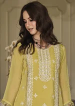 Lime Yellow Organza Suit with Embroidery Work