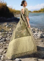 Olive Green Banarasi Saree with Embroidery Work