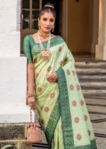 Pista Green Patola Silk Saree