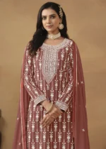 Rust Embroidered Georgette Sharara Suit