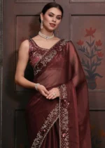 Embroidered Brown Organza Silk Saree with Stone Work