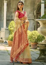 Tan Beige Banarasi Tissue Silk Saree