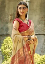 Tan Beige Banarasi Tissue Silk Saree