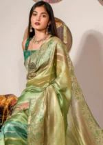 Green Printed Organza Silk Saree with Embroidery Work