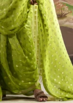 Ombré Green Banarasi Georgette Saree