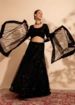 Ready to Wear Black Embroidered Net Lehenga