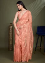 Coral Peach Embroidered Net Scalloped Saree